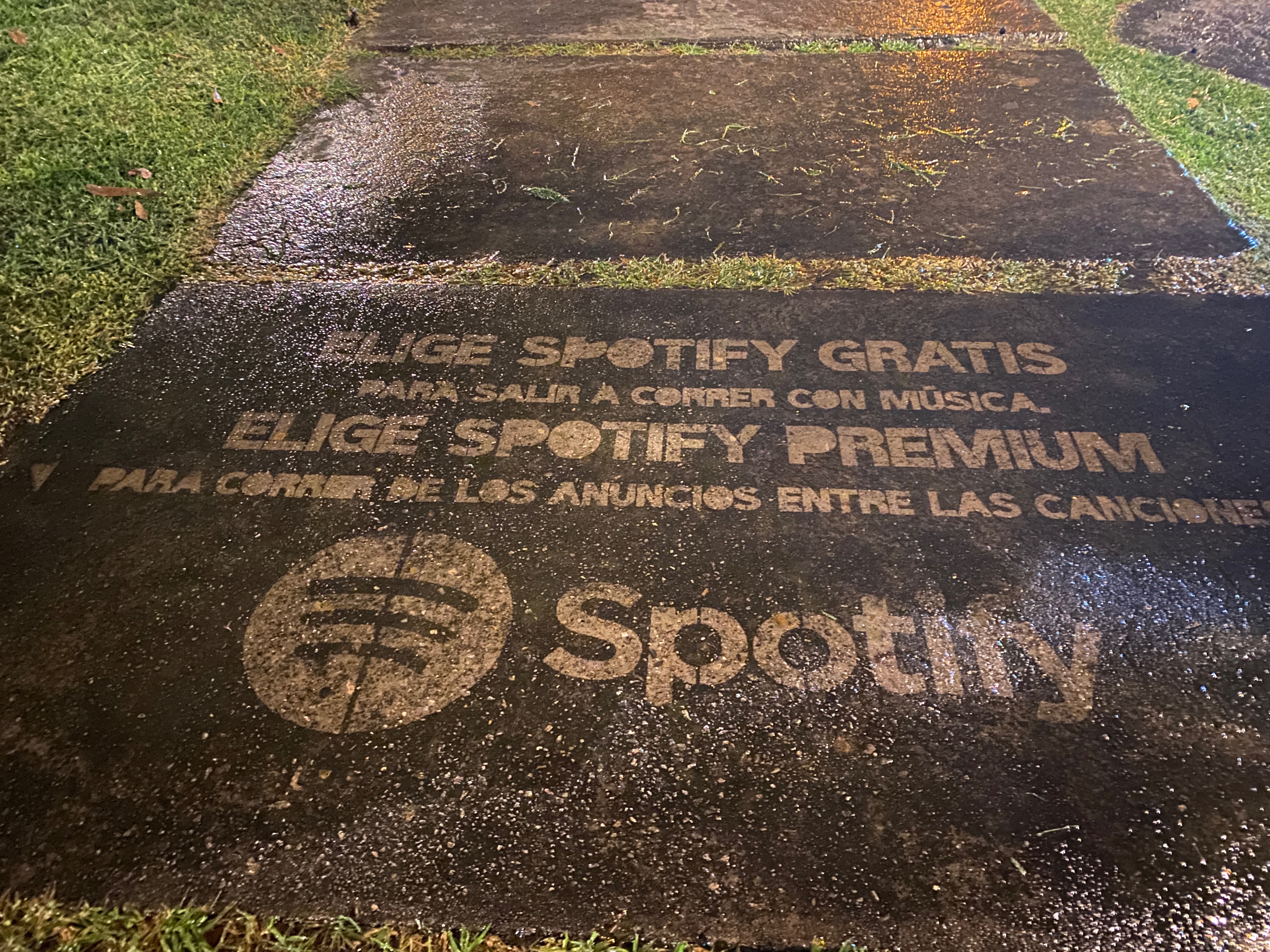 murales con pintura fotocatalítica, pintura que absorbe co2 bambu sustentable spotify 2